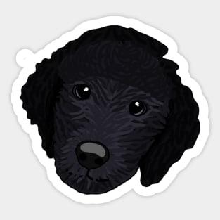 Poodle Sticker